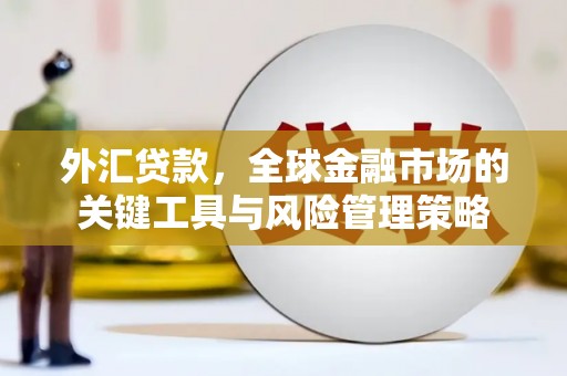 林州外汇贷款，全球金融市场的关键工具与风险管理策略