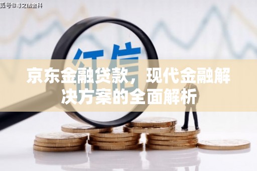 林州京东金融贷款，现代金融解决方案的全面解析