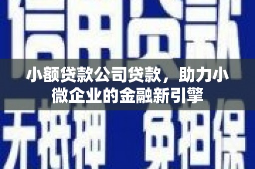 林州小额贷款公司贷款，助力小微企业的金融新引擎