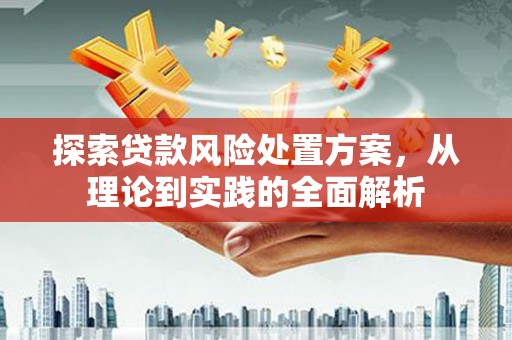 林州探索贷款风险处置方案，从理论到实践的全面解析