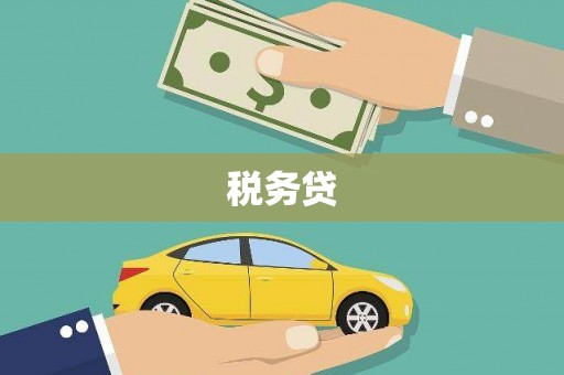 林州税务贷