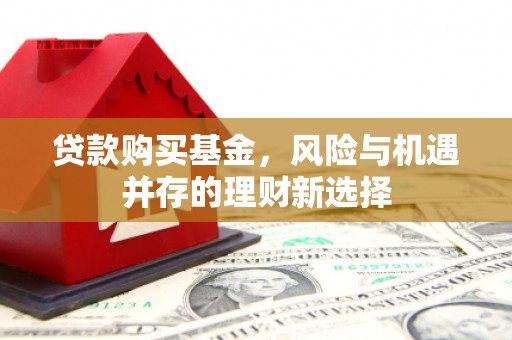 林州贷款购买基金，风险与机遇并存的理财新选择