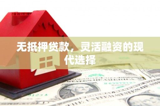 林州无抵押贷款，灵活融资的现代选择