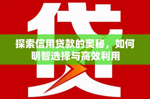 林州探索信用贷款的奥秘，如何明智选择与高效利用