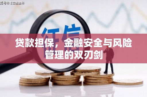 林州贷款担保，金融安全与风险管理的双刃剑