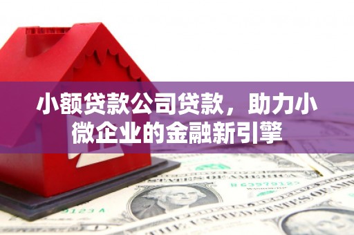 林州小额贷款公司贷款，助力小微企业的金融新引擎