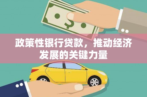 林州政策性银行贷款，推动经济发展的关键力量