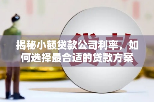 林州揭秘小额贷款公司利率，如何选择最合适的贷款方案