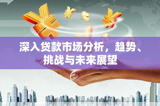 林州深入贷款市场分析，趋势、挑战与未来展望