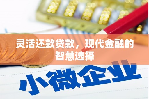 林州灵活还款贷款，现代金融的智慧选择