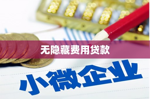 林州无隐藏费用贷款