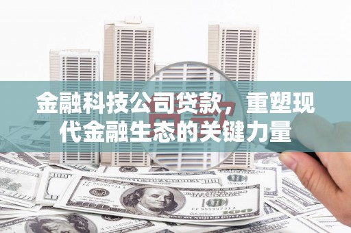 林州金融科技公司贷款，重塑现代金融生态的关键力量