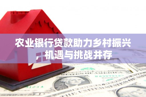 林州农业银行贷款助力乡村振兴，机遇与挑战并存