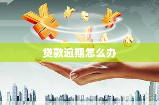 林州贷款逾期怎么办