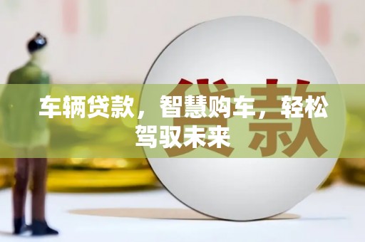 林州车辆贷款，智慧购车，轻松驾驭未来