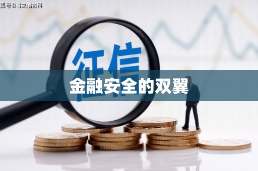 林州金融安全的双翼