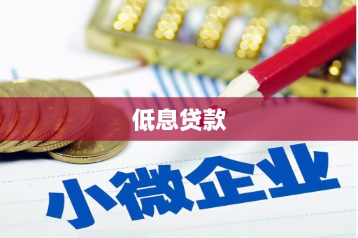 林州低息贷款