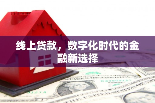 林州线上贷款，数字化时代的金融新选择
