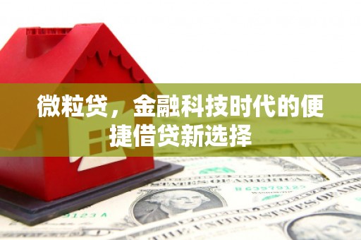 林州微粒贷，金融科技时代的便捷借贷新选择