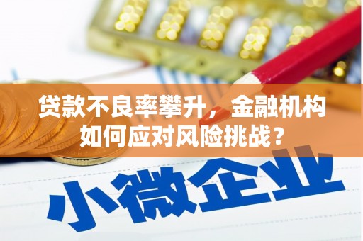 林州贷款不良率攀升，金融机构如何应对风险挑战？