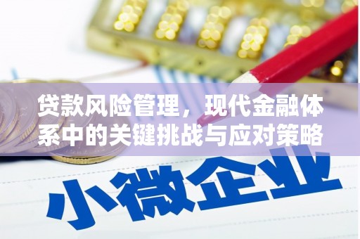 林州贷款风险管理，现代金融体系中的关键挑战与应对策略