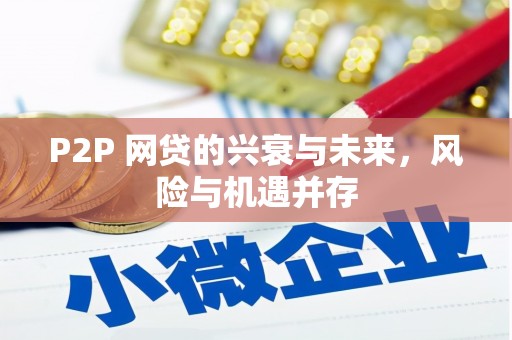 林州P2P 网贷的兴衰与未来，风险与机遇并存