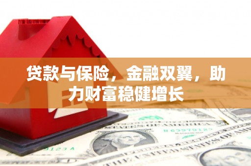 林州贷款与保险，金融双翼，助力财富稳健增长