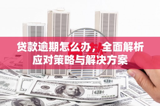 林州贷款逾期怎么办，全面解析应对策略与解决方案