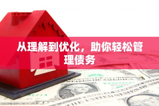 林州从理解到优化，助你轻松管理债务