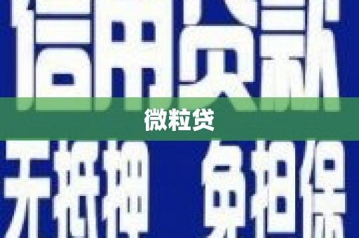 林州微粒贷