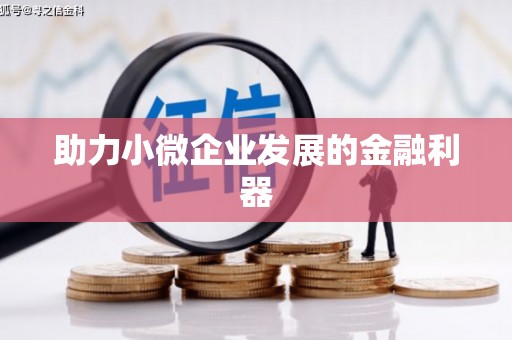 林州助力小微企业发展的金融利器
