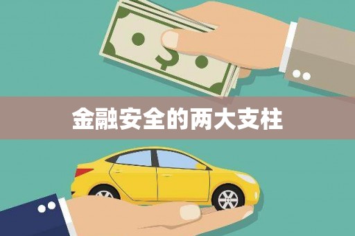 林州金融安全的两大支柱