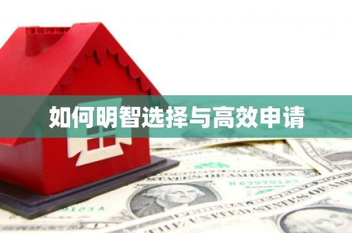 林州如何明智选择与高效申请