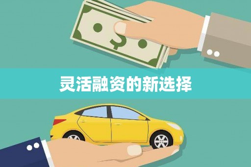 林州灵活融资的新选择