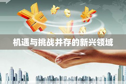 林州机遇与挑战并存的新兴领域