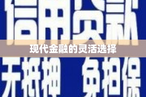 林州现代金融的灵活选择