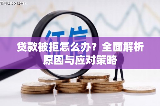 林州贷款被拒怎么办？全面解析原因与应对策略