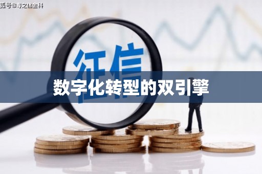 林州数字化转型的双引擎