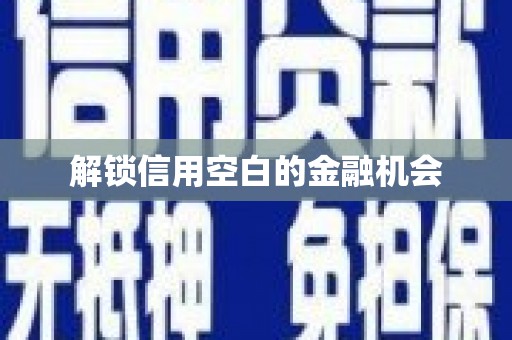 林州解锁信用空白的金融机会