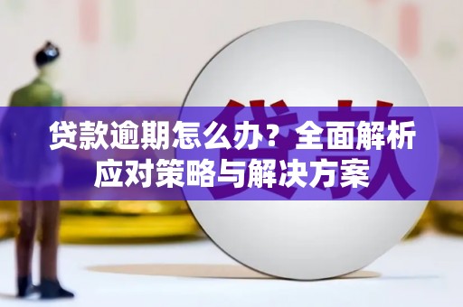 林州贷款逾期怎么办？全面解析应对策略与解决方案