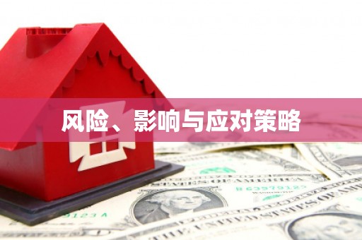 林州风险、影响与应对策略