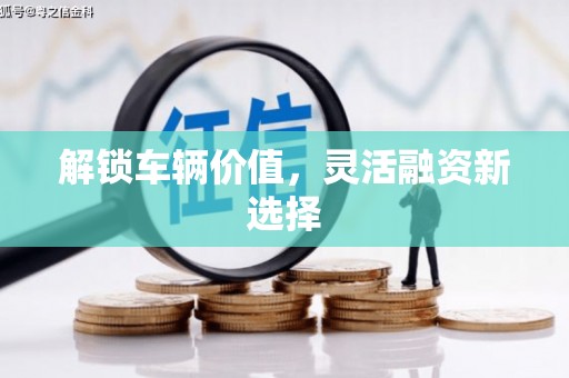 林州解锁车辆价值，灵活融资新选择