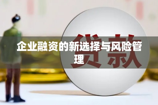 林州企业融资的新选择与风险管理