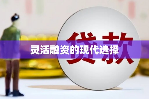 林州灵活融资的现代选择