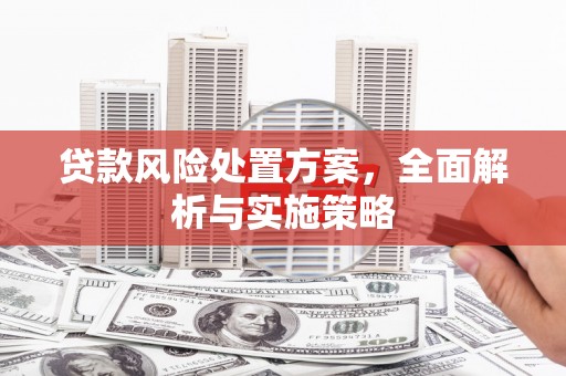 林州贷款风险处置方案，全面解析与实施策略