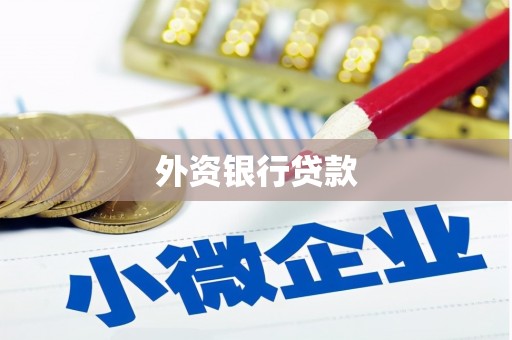 林州外资银行贷款