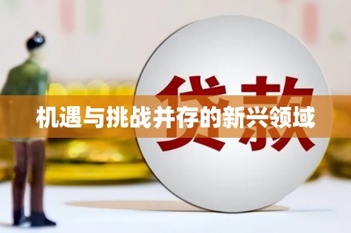 林州机遇与挑战并存的新兴领域