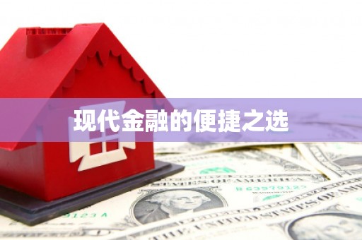 林州现代金融的便捷之选 林州现代金融的便捷之选