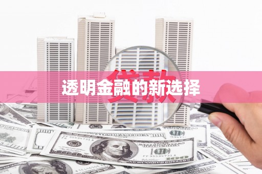 林州透明金融的新选择