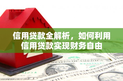 林州信用贷款全解析，如何利用信用贷款实现财务自由